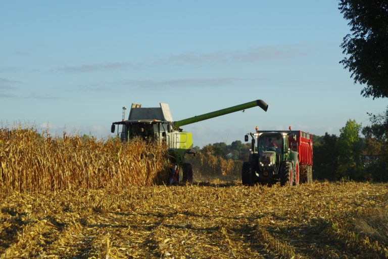 Projet Industriel de production et de transformation du maïs et soja de Batouri